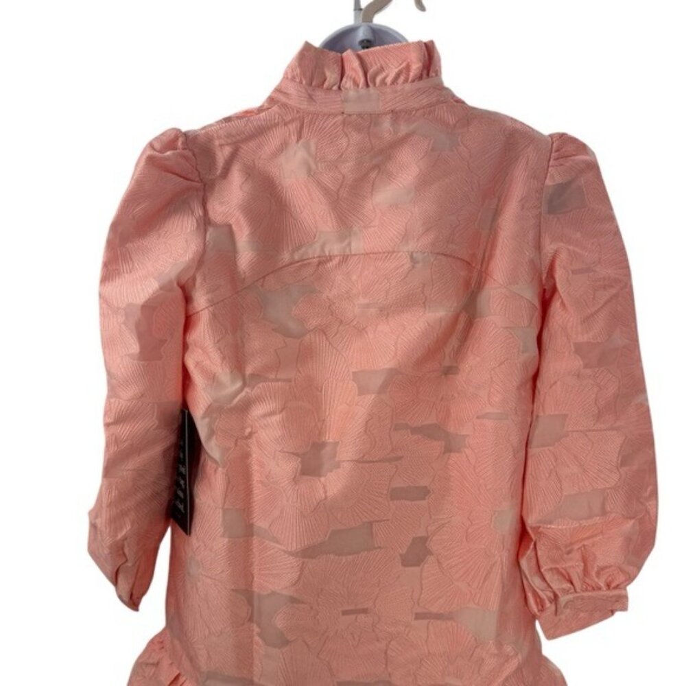 Tuckernuck NEW Bellini Fil Coupe Pink Drop Waist Long Sleeve Palmerston Dress S - Picture 8 of 11